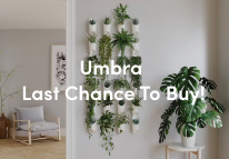 Shop Umbra Clearance